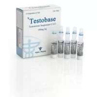 Testobase 100 mg Alpha-Pharma